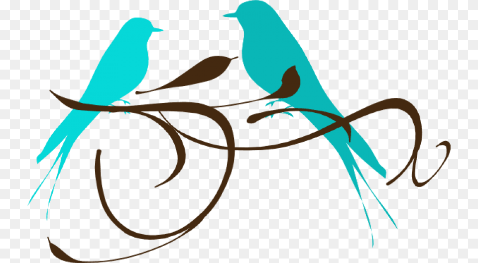 Teal Love Birds Images Background Teal Love Birds Clipart, Animal, Bird, Parakeet, Parrot Free Transparent Png