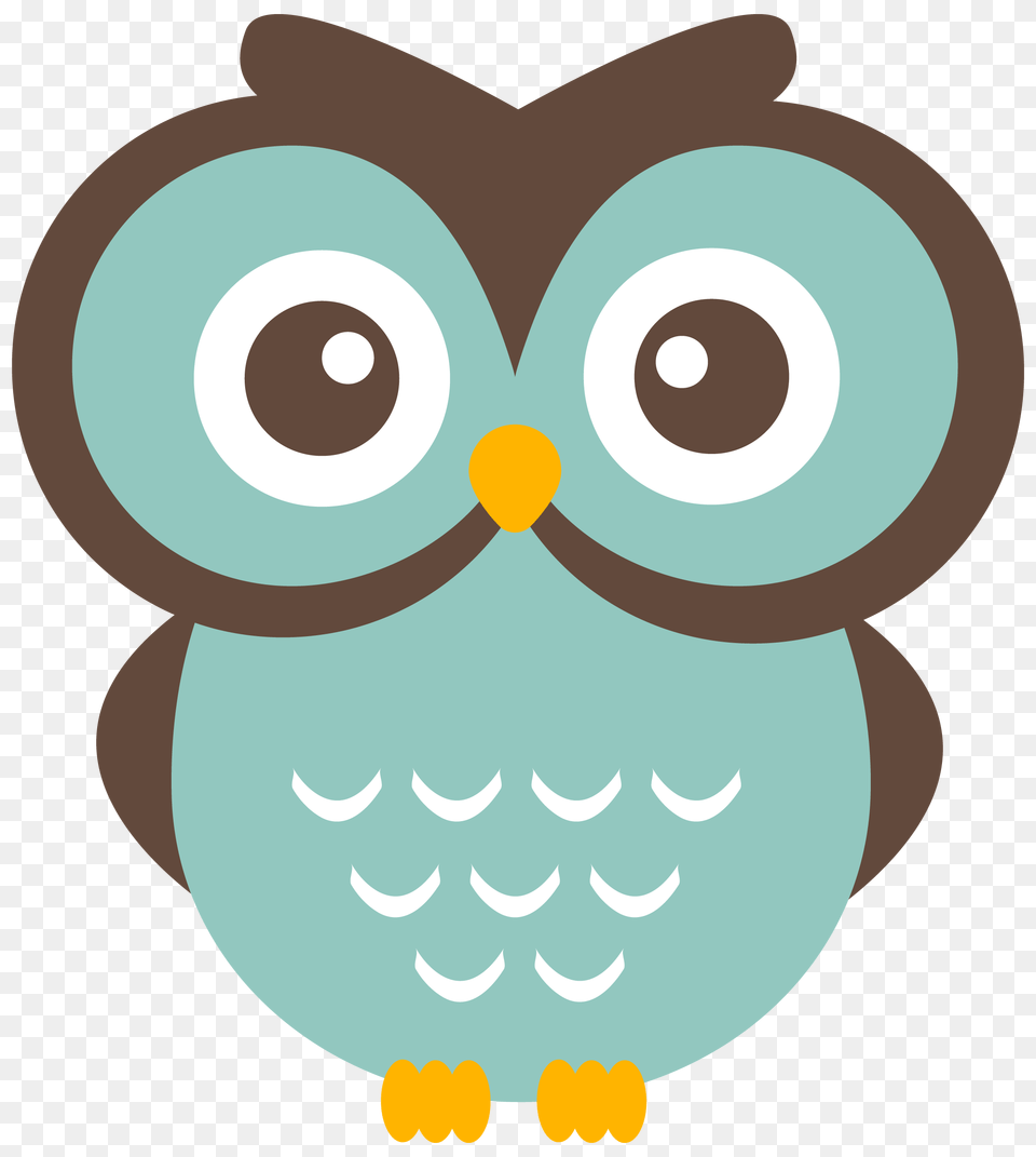 Teal Owl Clipart, Animal, Bird Png