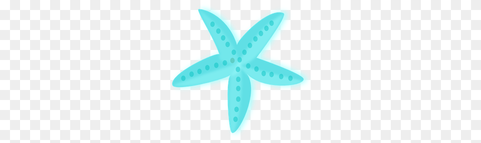 Teal Starfish Clip Art For Web, Animal, Sea Life, Invertebrate Png
