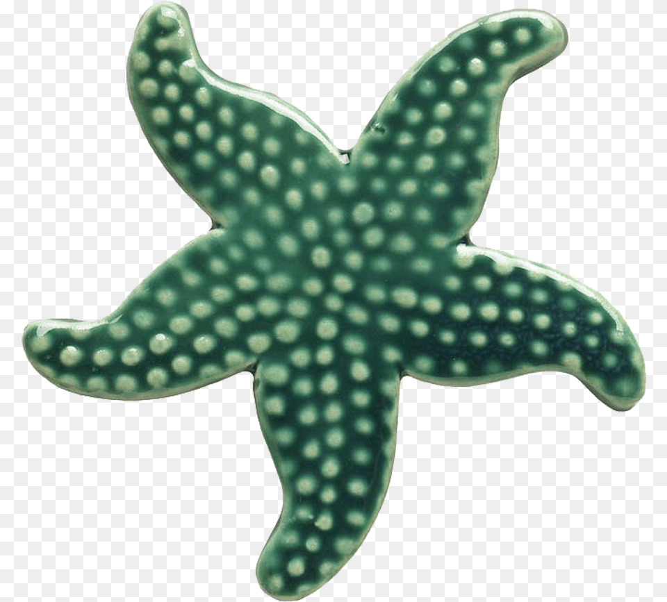 Teal Starfish Mosaic U2014 Custom Mosaics Green Starfish, Animal, Sea Life, Invertebrate, Bird Png Image