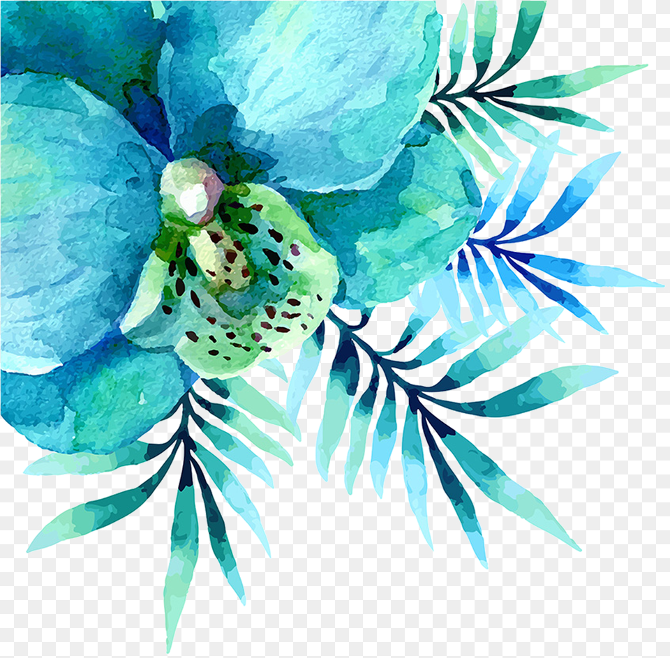 Teal Watercolor Flowers, Art, Floral Design, Graphics, Pattern Png