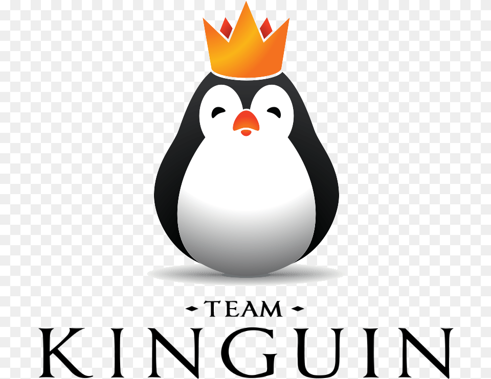 Team Kinguinlogo Square Kinguin Csgo, Animal, Bird, Penguin, Nature Png Image