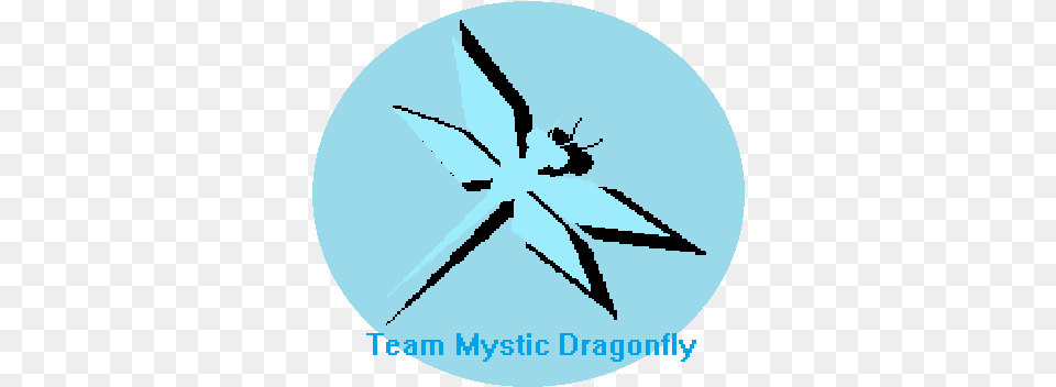 Team Mystic Dragonfly Metal Sonic Sprites, Person Free Transparent Png