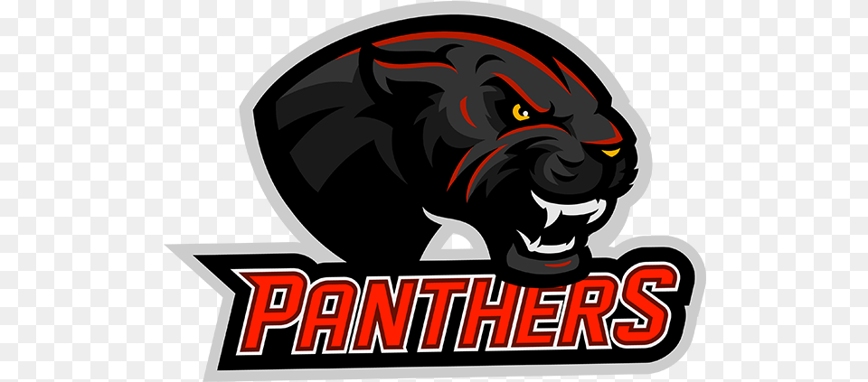 Team Panthers Logo, Animal, Mammal, Panther, Wildlife Free Png