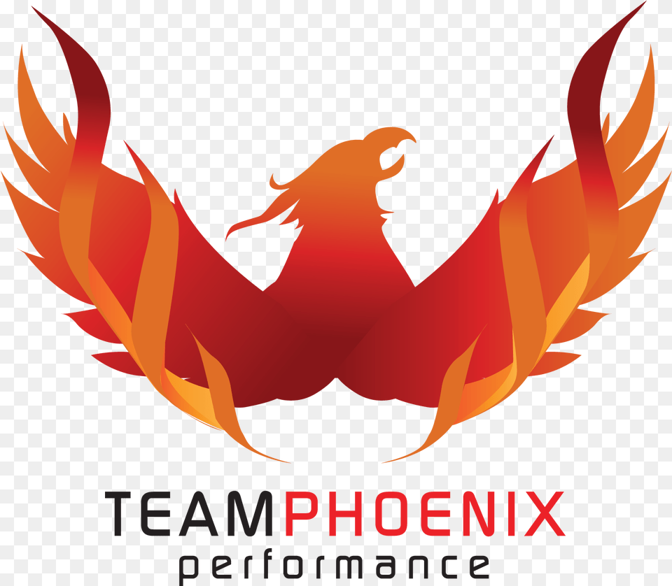 Team Phoenix, Fire, Flame, Logo, Animal Free Png