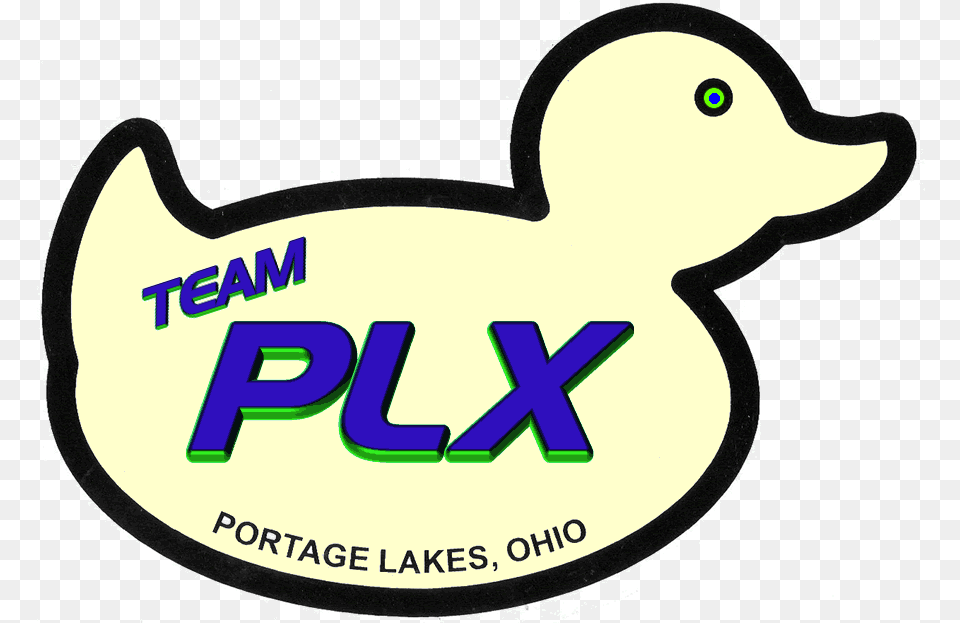 Team Plx Is Portage Lakes Community Duck, Animal, Bird Free Transparent Png