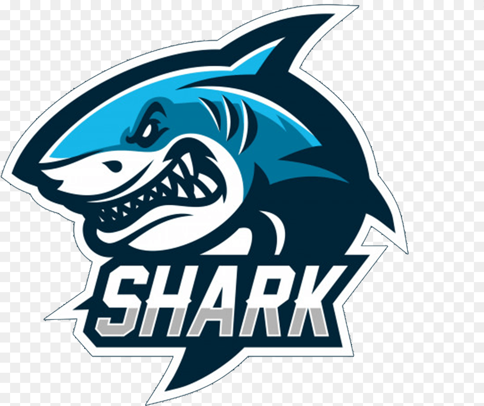 Team Shark, Amphibian, Animal, Frog, Green Png