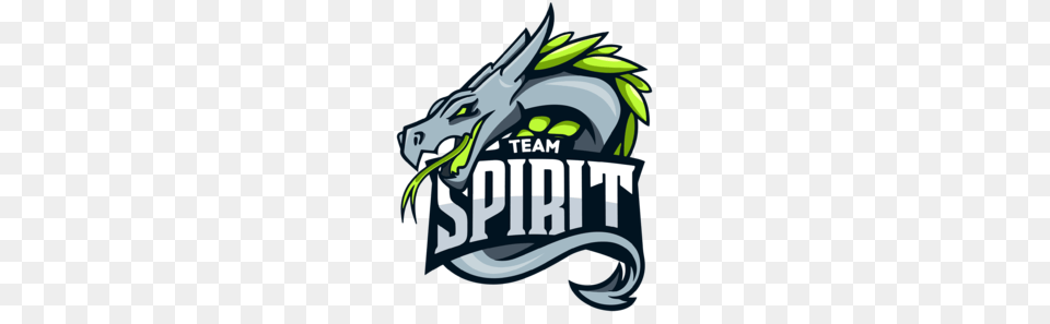 Team Spirit, Dragon Png Image