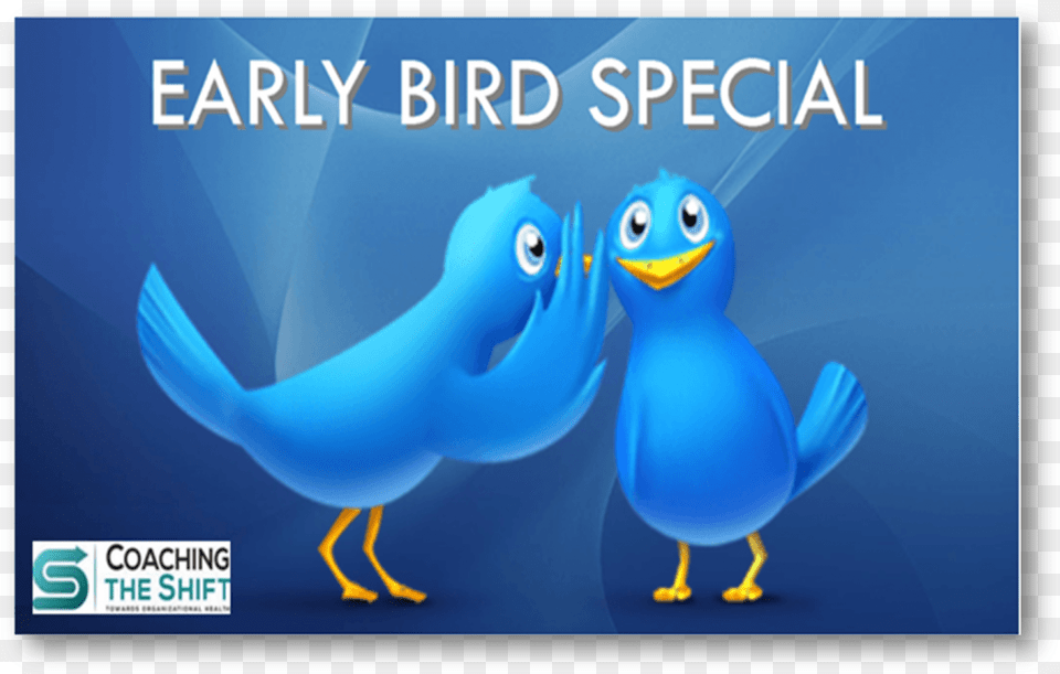 Teamcoaching Opleiding Icf Certificatie Wordt Early Bird Massage Special, Animal, Penguin, Text Png