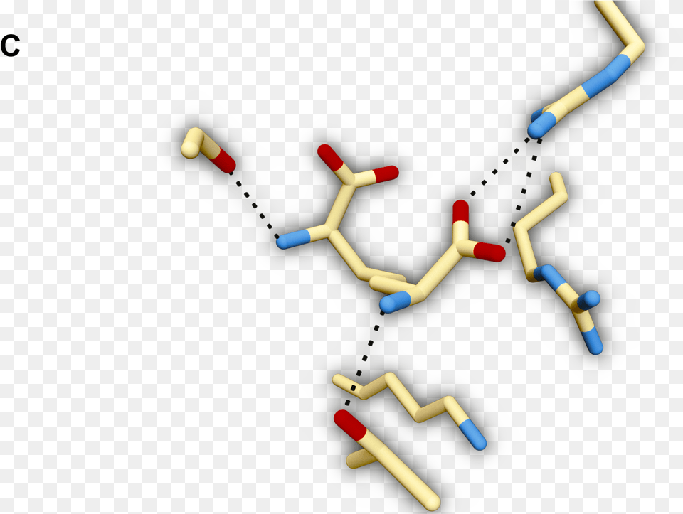 Teamhamburgdescription 2016igemorg Dot Free Png Download