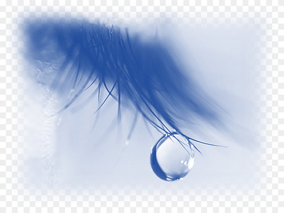 Tear Drop On Eye Lash Love Love Pain Alone, Droplet, Sphere, Adult, Female Free Png Download