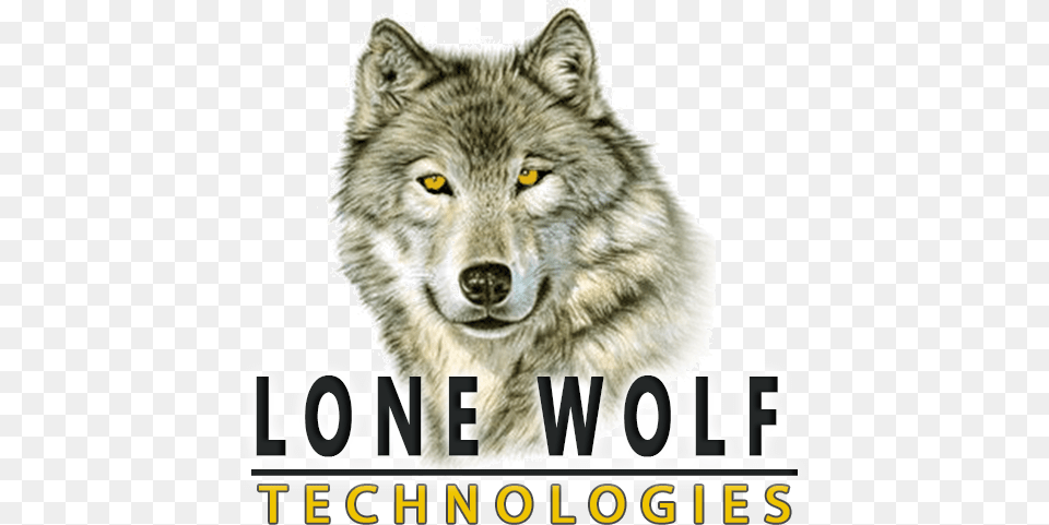 Tech Support Company Lone Wolf Color Pencil Drawings Wolf, Animal, Mammal, Canine, Dog Png Image