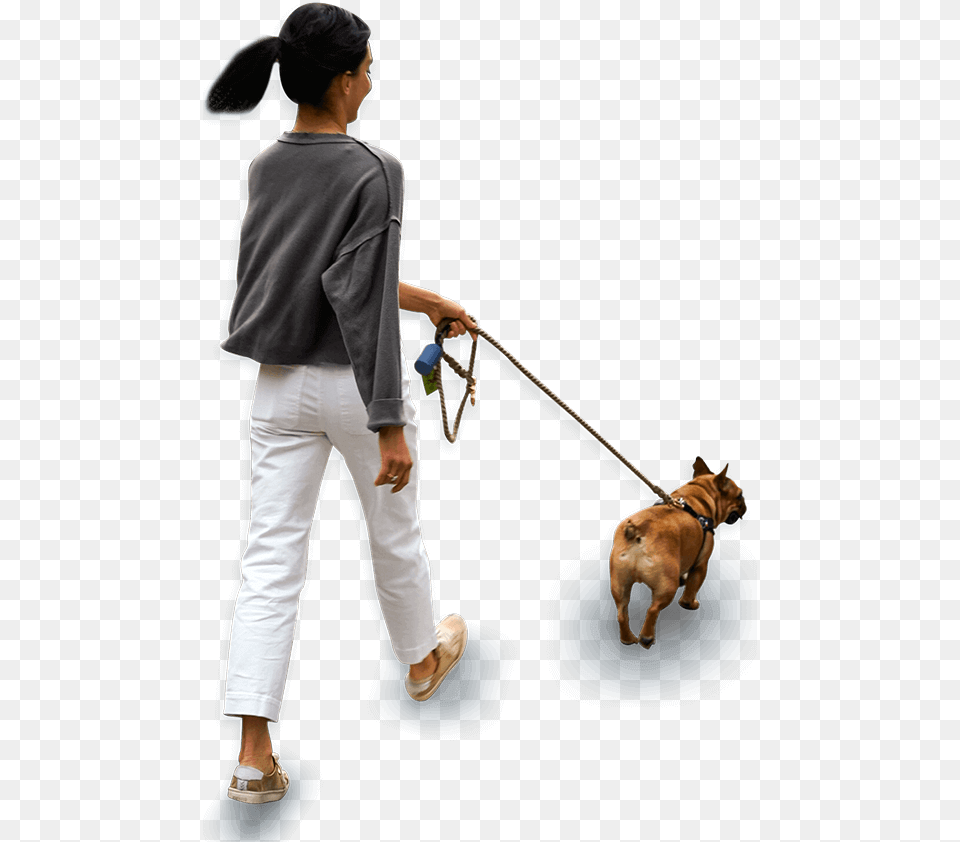 Technology For Pet Parents Dog Walking, Accessories, Strap, Animal, Person Free Png Download