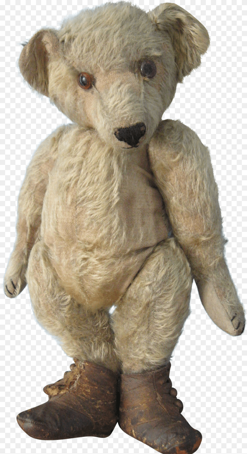 Ted 16 Inch R Rated Talking Plush Teddy Bear W Moving Grizzly Bear, Animal, Mammal, Wildlife, Clothing Png