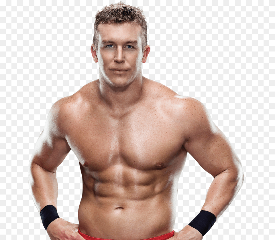Ted Dibiase Jr, Adult, Male, Man, Person Free Png Download