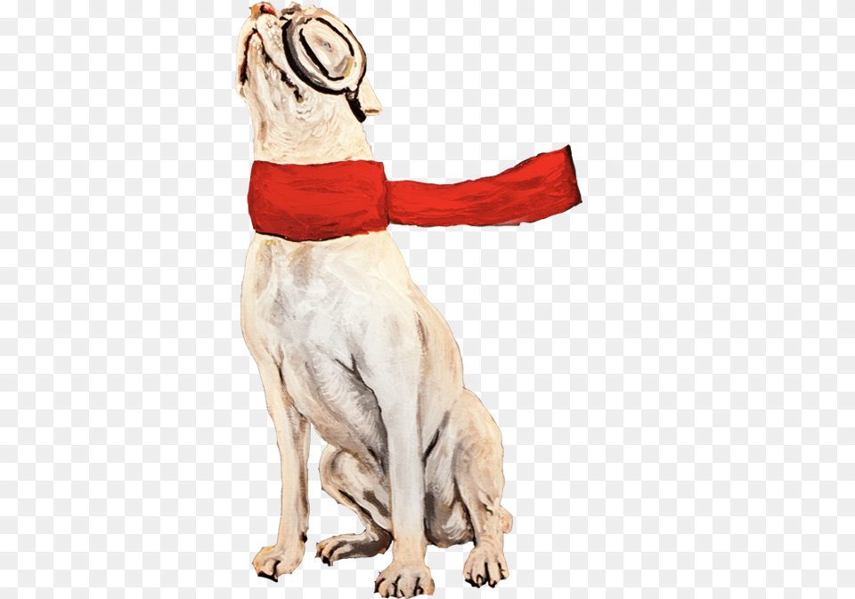 Ted Dog Catches Something, Accessories, Animal, Canine, Mammal Png