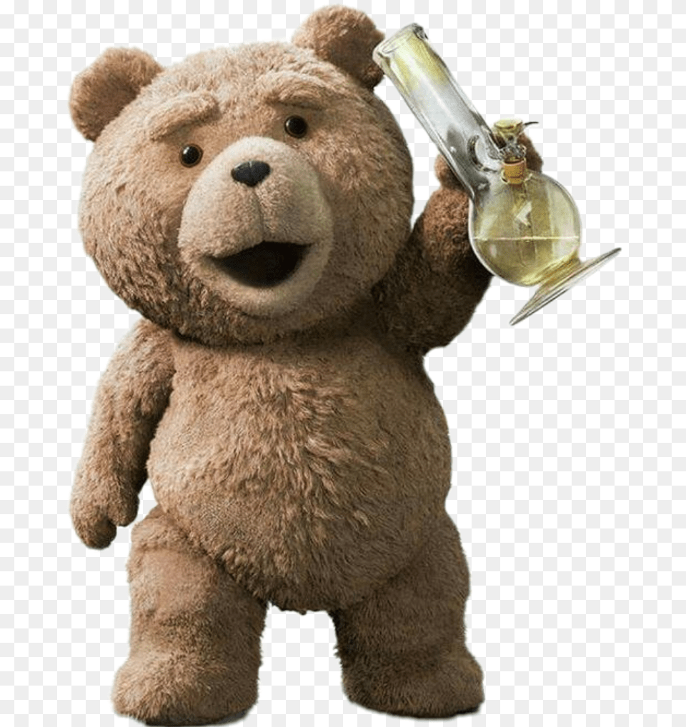 Ted Ted Weed, Animal, Bear, Mammal, Wildlife Free Transparent Png