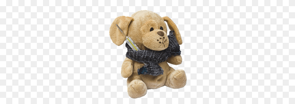 Teddy Teddy Bear, Toy, Plush Png Image
