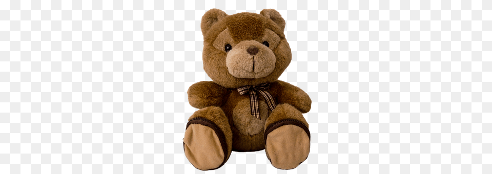 Teddy Teddy Bear, Toy Free Png Download