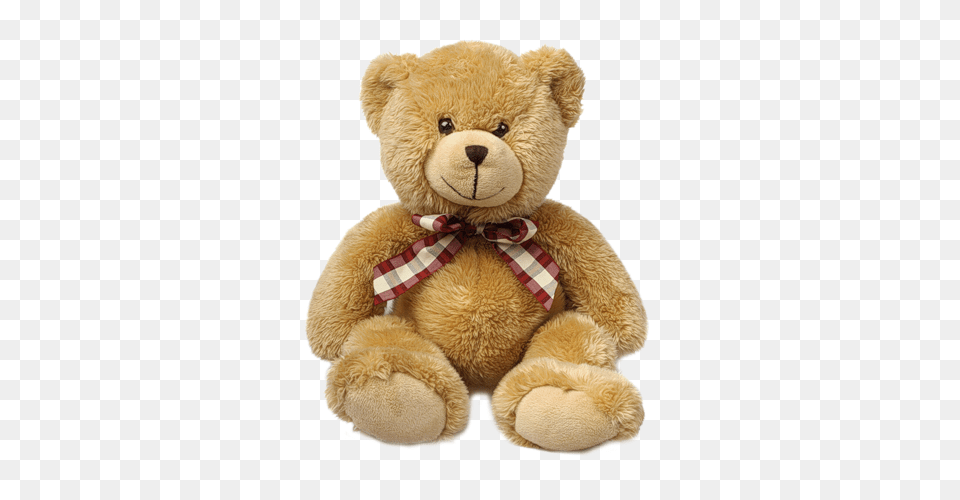 Teddy Bear, Teddy Bear, Toy, Accessories, Formal Wear Png Image