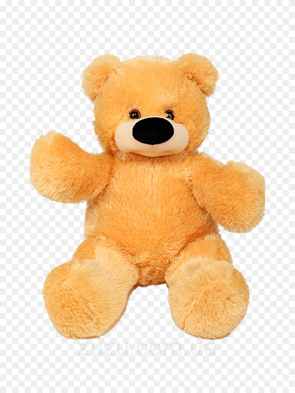 Teddy Bear, Teddy Bear, Toy, Plush Free Png