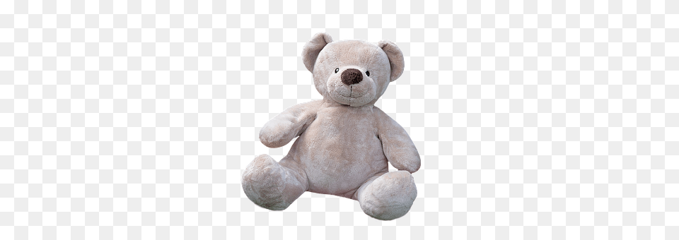 Teddy Bear Teddy Bear, Toy, Plush Free Png Download