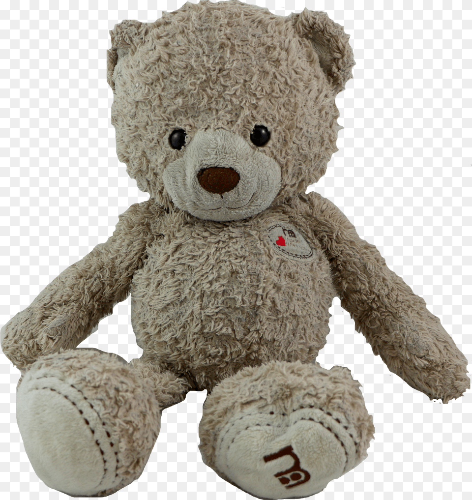 Teddy Bear Png