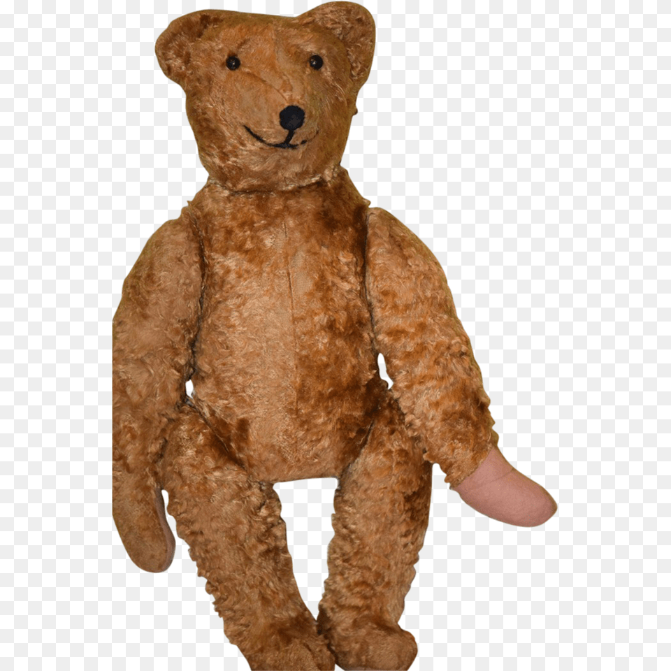 Teddy Bear, Teddy Bear, Toy, Plush Free Png Download