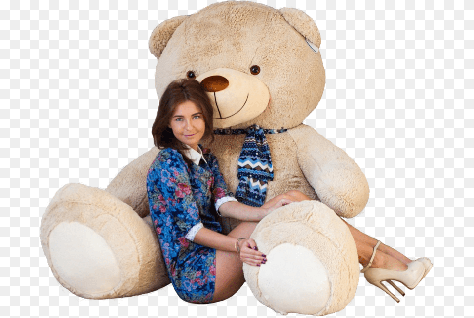 Teddy Bear, Adult, Person, Woman, Female Png