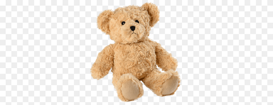 Teddy Bear, Teddy Bear, Toy Free Png