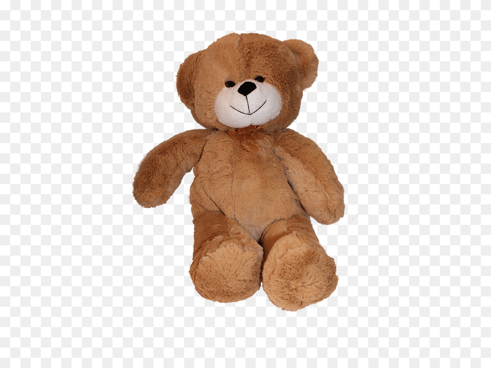 Teddy Bear, Teddy Bear, Toy Free Transparent Png