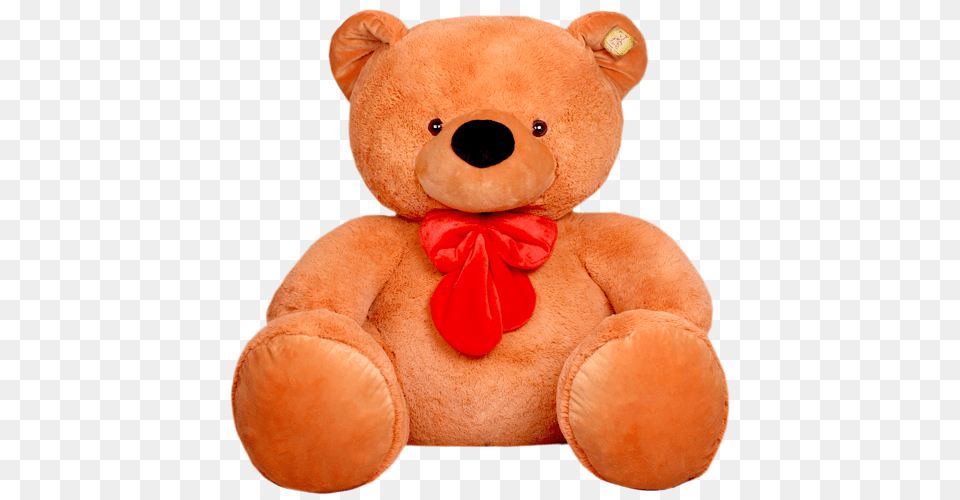 Teddy Bear, Teddy Bear, Toy Free Png