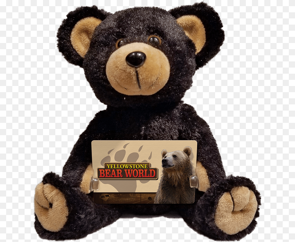 Teddy Bear, Animal, Mammal, Wildlife, Teddy Bear Png Image