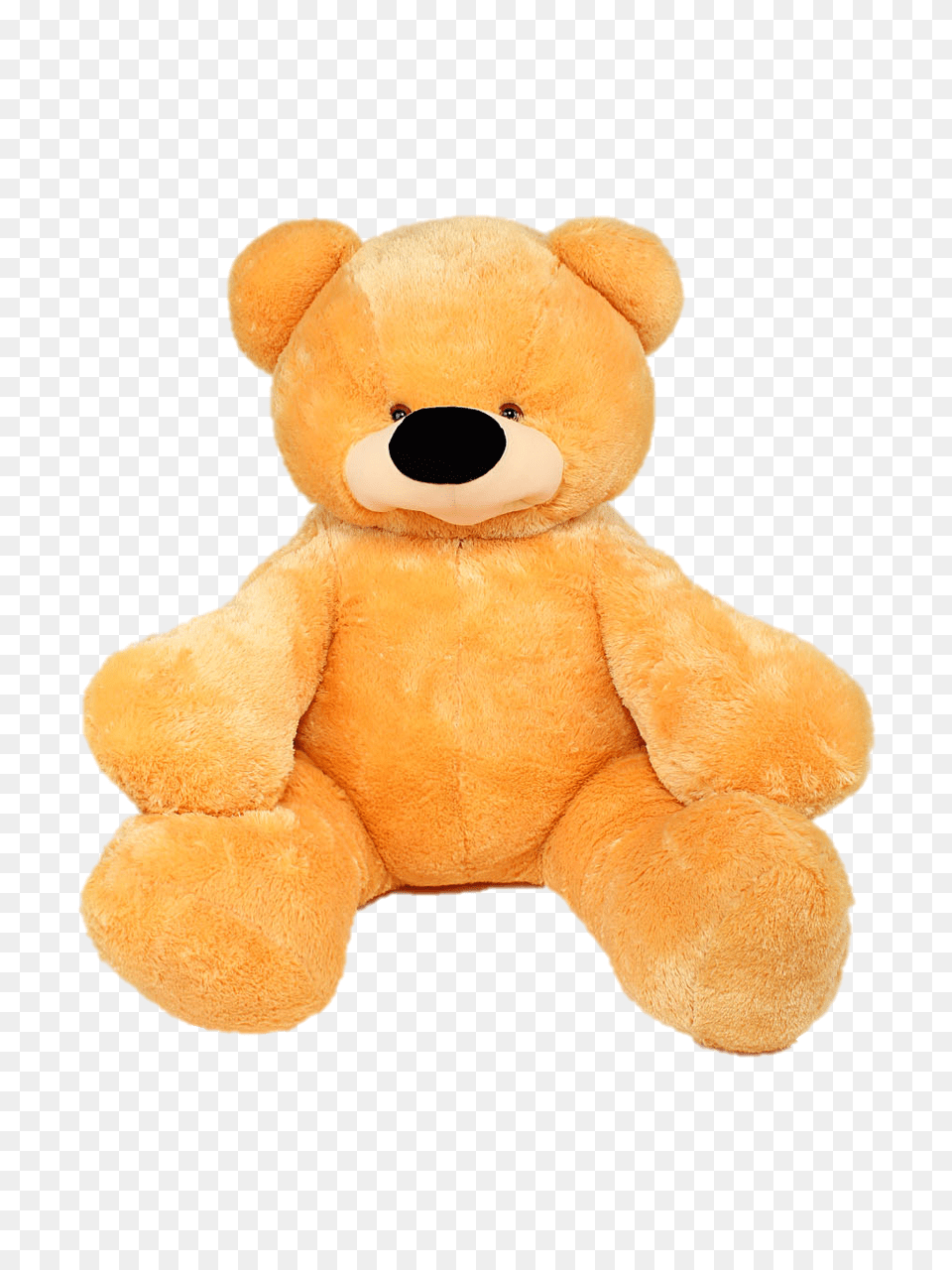 Teddy Bear, Plush, Teddy Bear, Toy Free Transparent Png