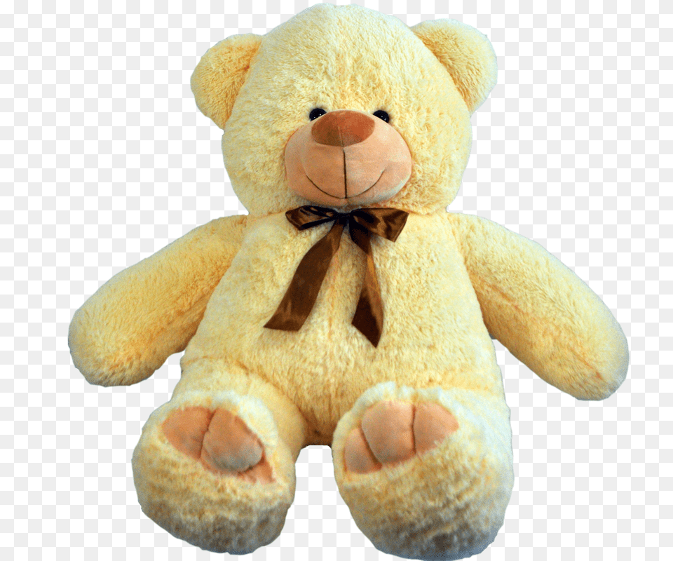 Teddy Bear, Teddy Bear, Toy, Plush Png Image