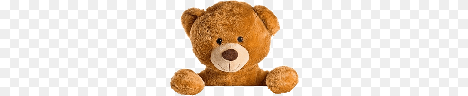 Teddy Bear, Teddy Bear, Toy, Plush Free Png Download