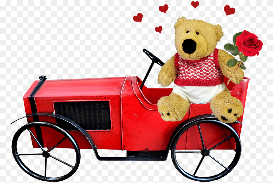 Teddy Bear, Teddy Bear, Toy, Machine, Wheel Png