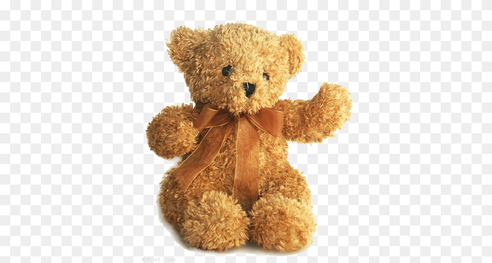 Teddy Bear, Teddy Bear, Toy Free Transparent Png