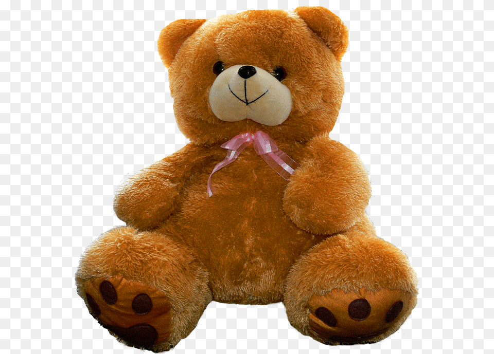 Teddy Bear, Teddy Bear, Toy Free Png