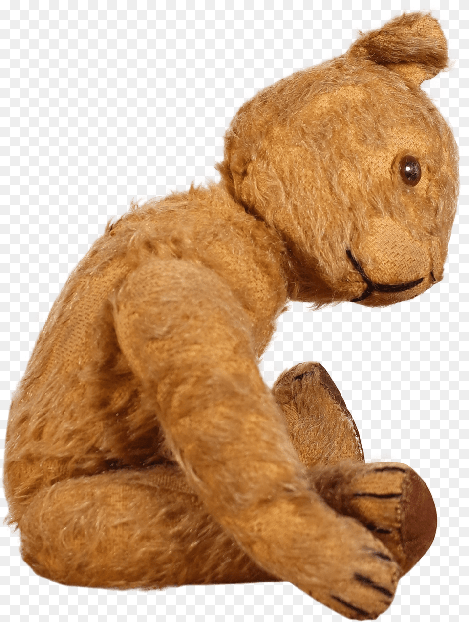 Teddy Bear, Plush, Toy, Teddy Bear, Animal Free Png