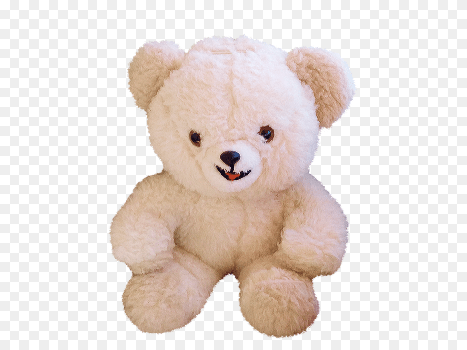 Teddy Bear, Teddy Bear, Toy Free Png