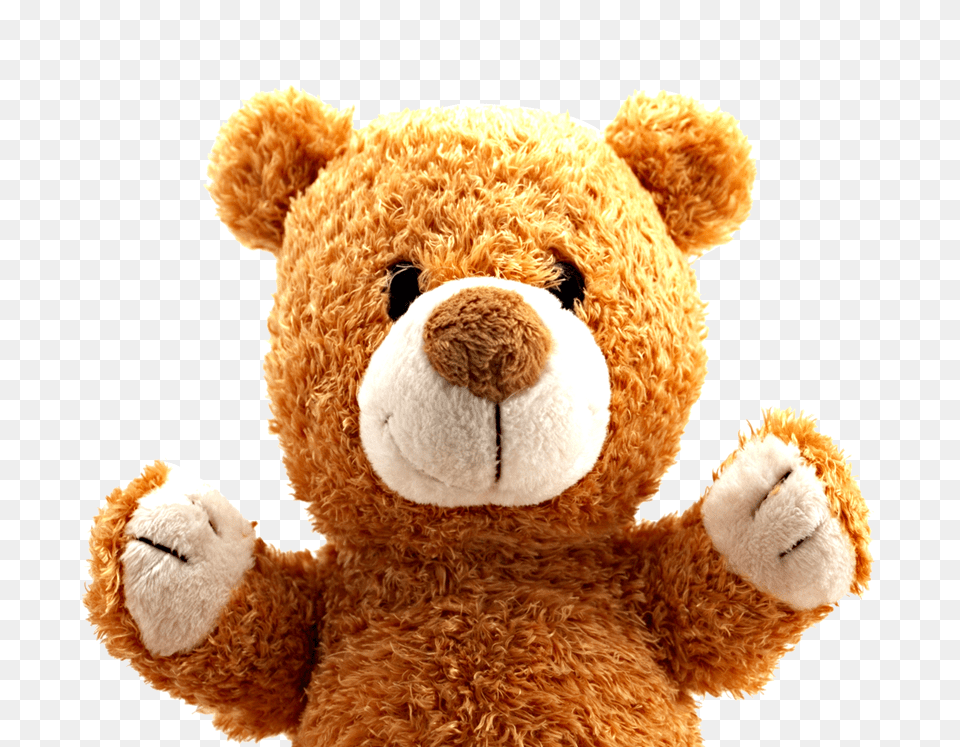 Teddy Bear, Teddy Bear, Toy, Plush Png