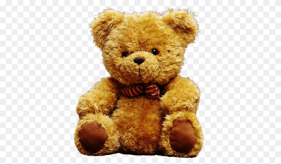 Teddy Bear, Teddy Bear, Toy, Accessories, Formal Wear Png