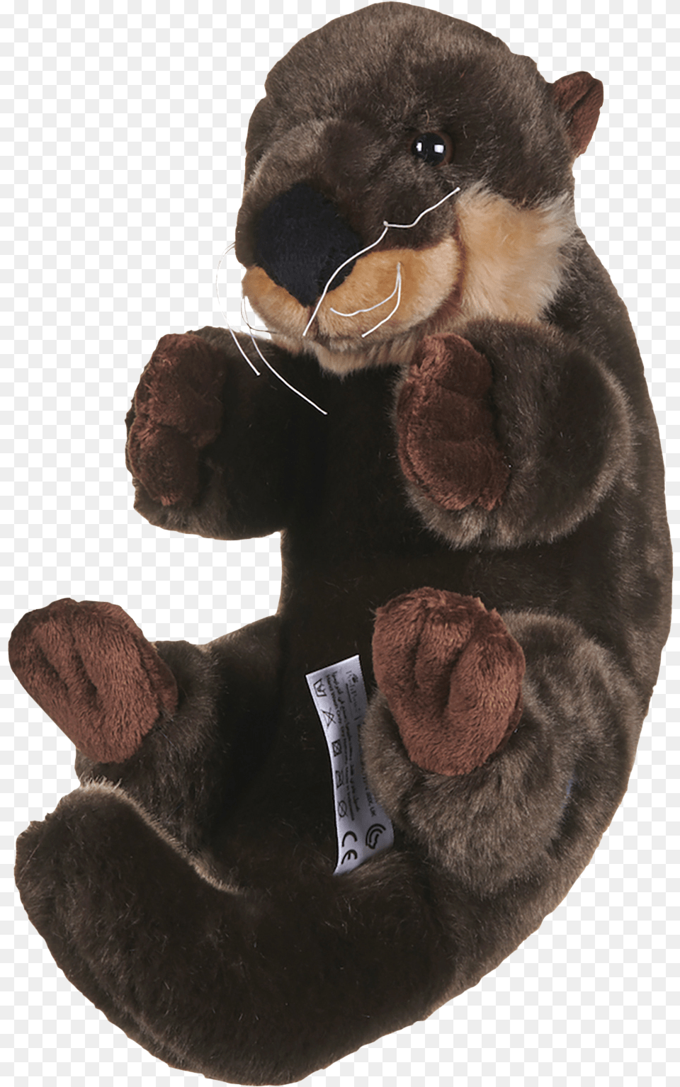 Teddy Bear, Animal, Mammal, Wildlife, Toy Png