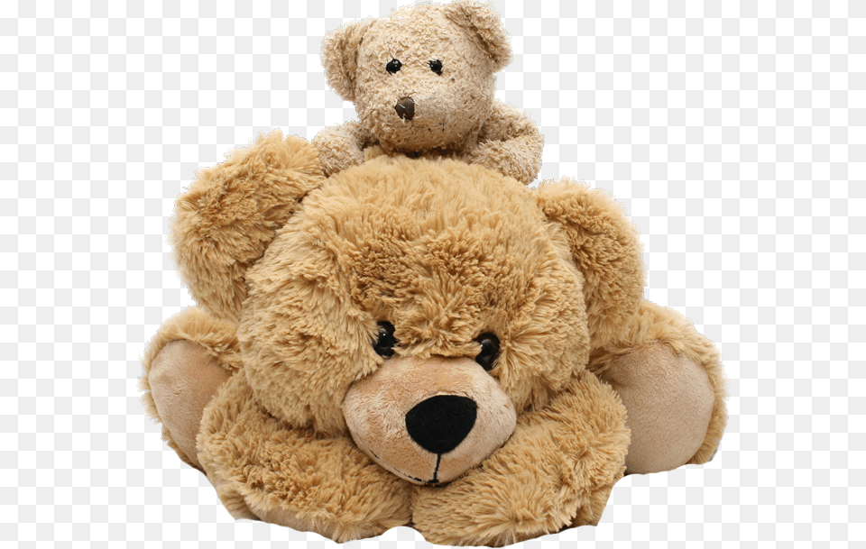 Teddy Bear, Teddy Bear, Toy Free Transparent Png