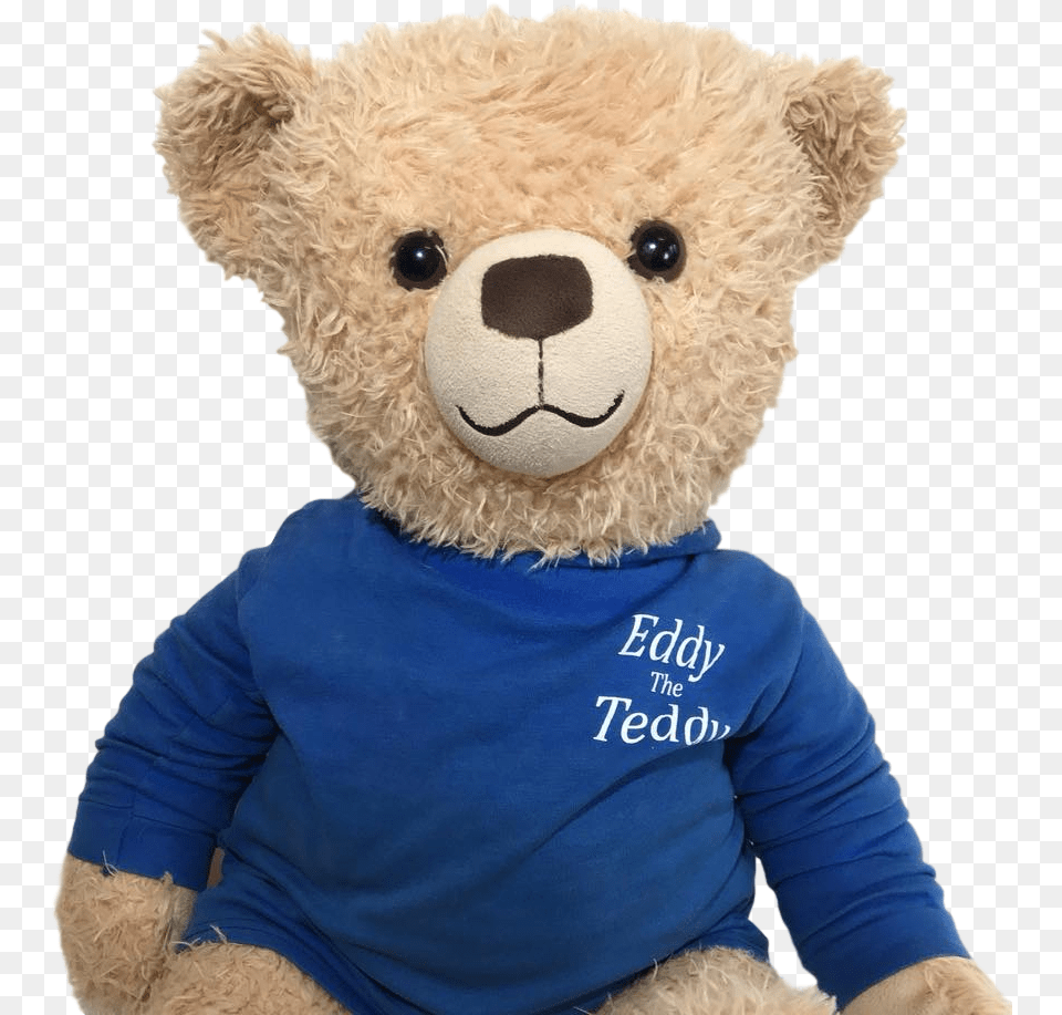 Teddy Bear, Teddy Bear, Toy Free Png