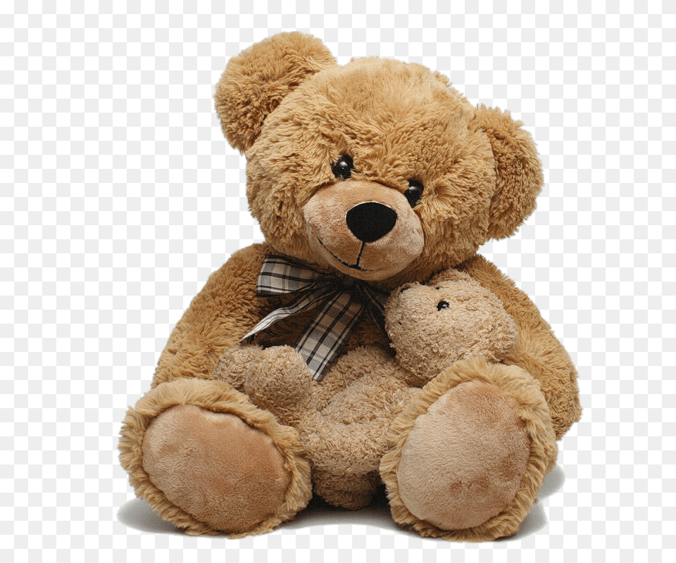 Teddy Bear, Teddy Bear, Toy Png