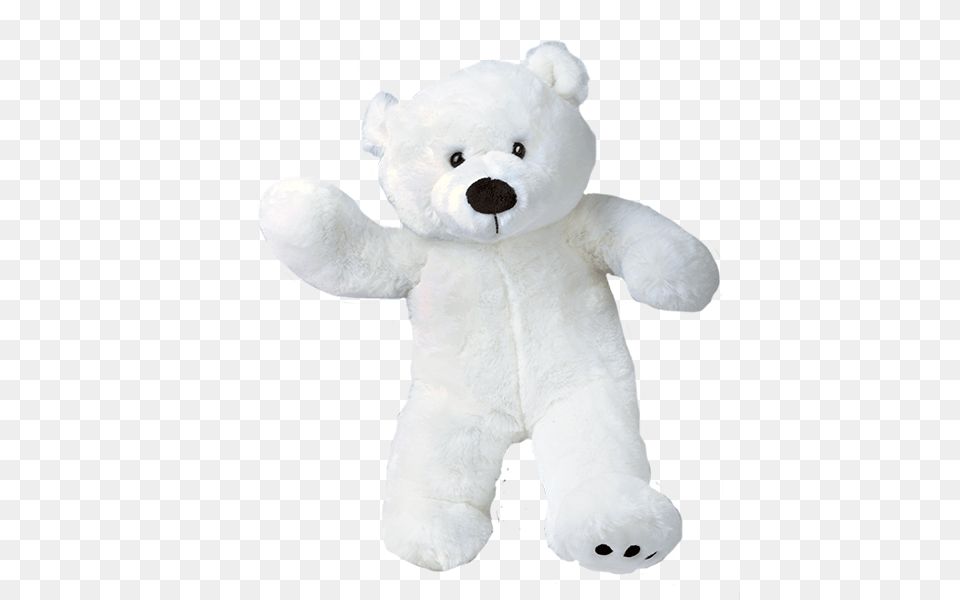 Teddy Bear, Teddy Bear, Toy, Plush, Animal Png