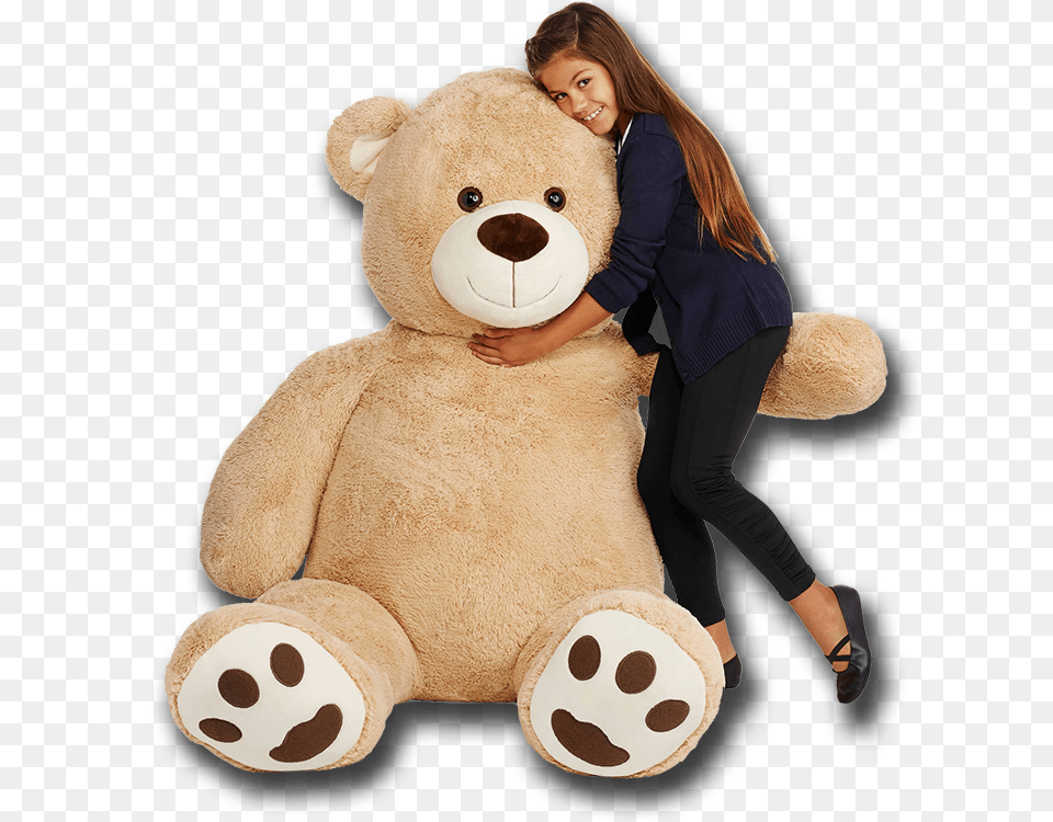 Teddy Bear, Adult, Person, Woman, Female Free Png Download