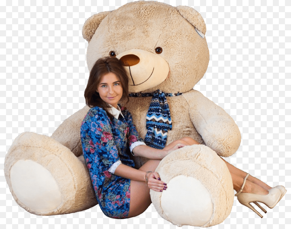 Teddy Bear, Adult, Person, Woman, Female Free Transparent Png